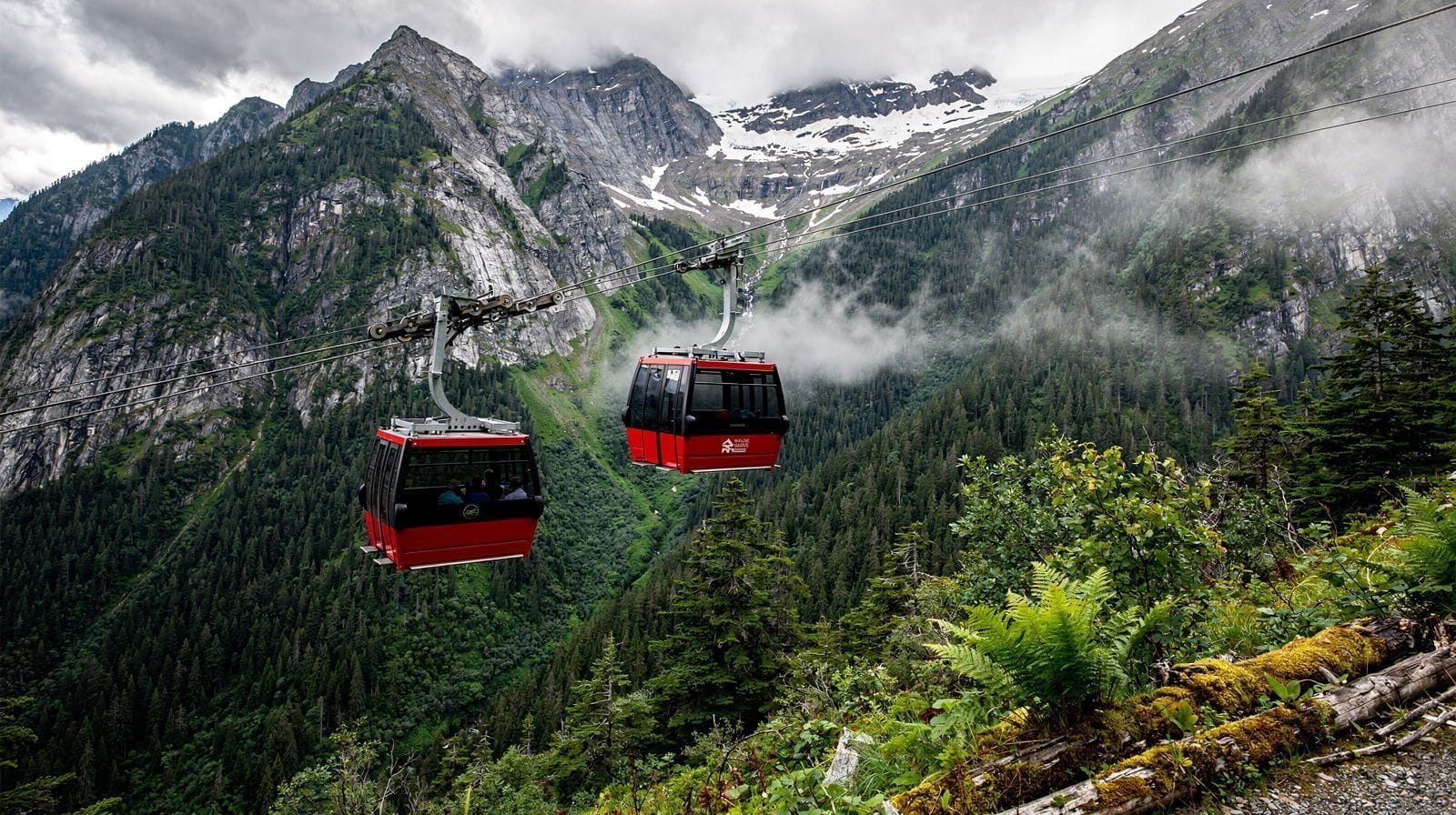 Ride the PEAK 2 PEAK Gondola in Summer