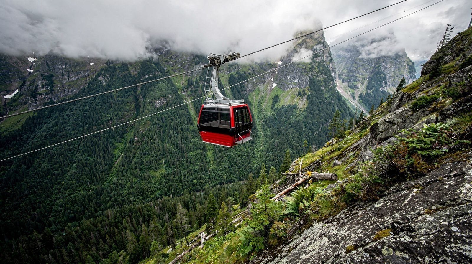 Gondola Rides