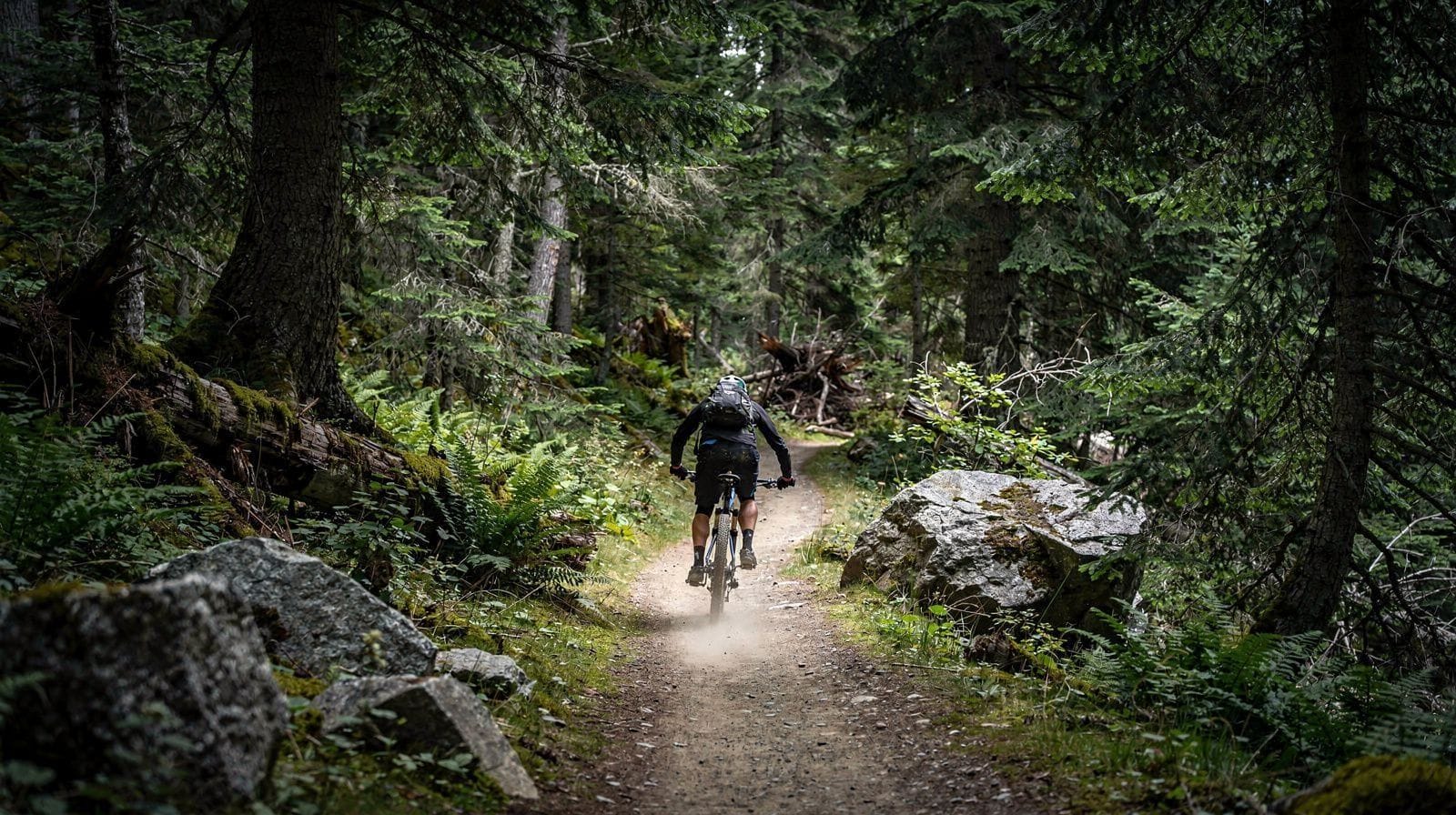 Mountain Biking