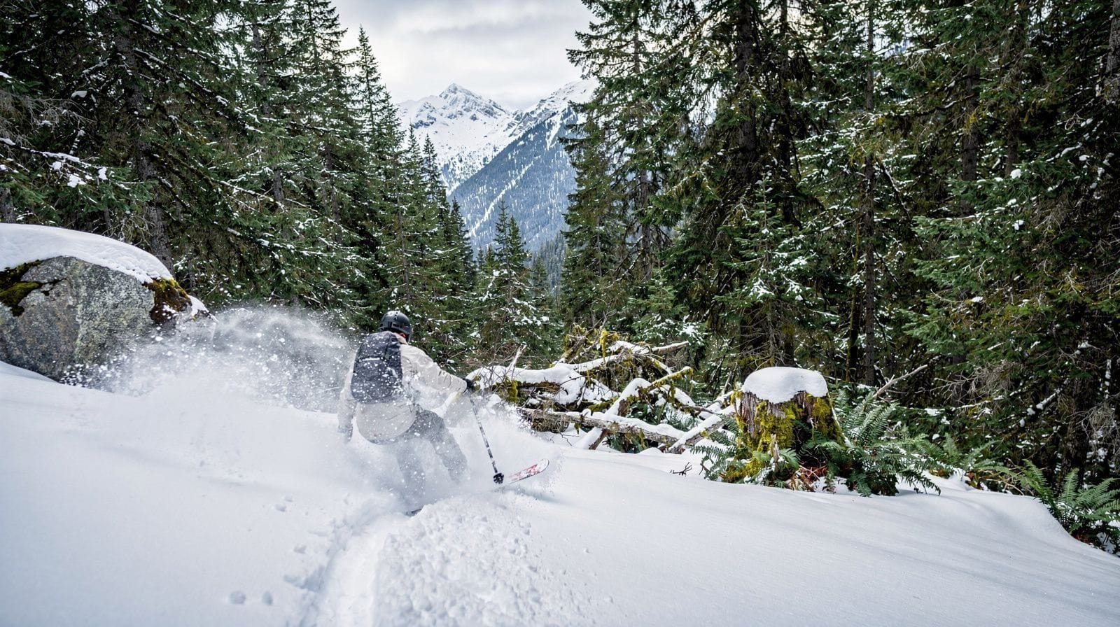 Skiing & Snowboarding