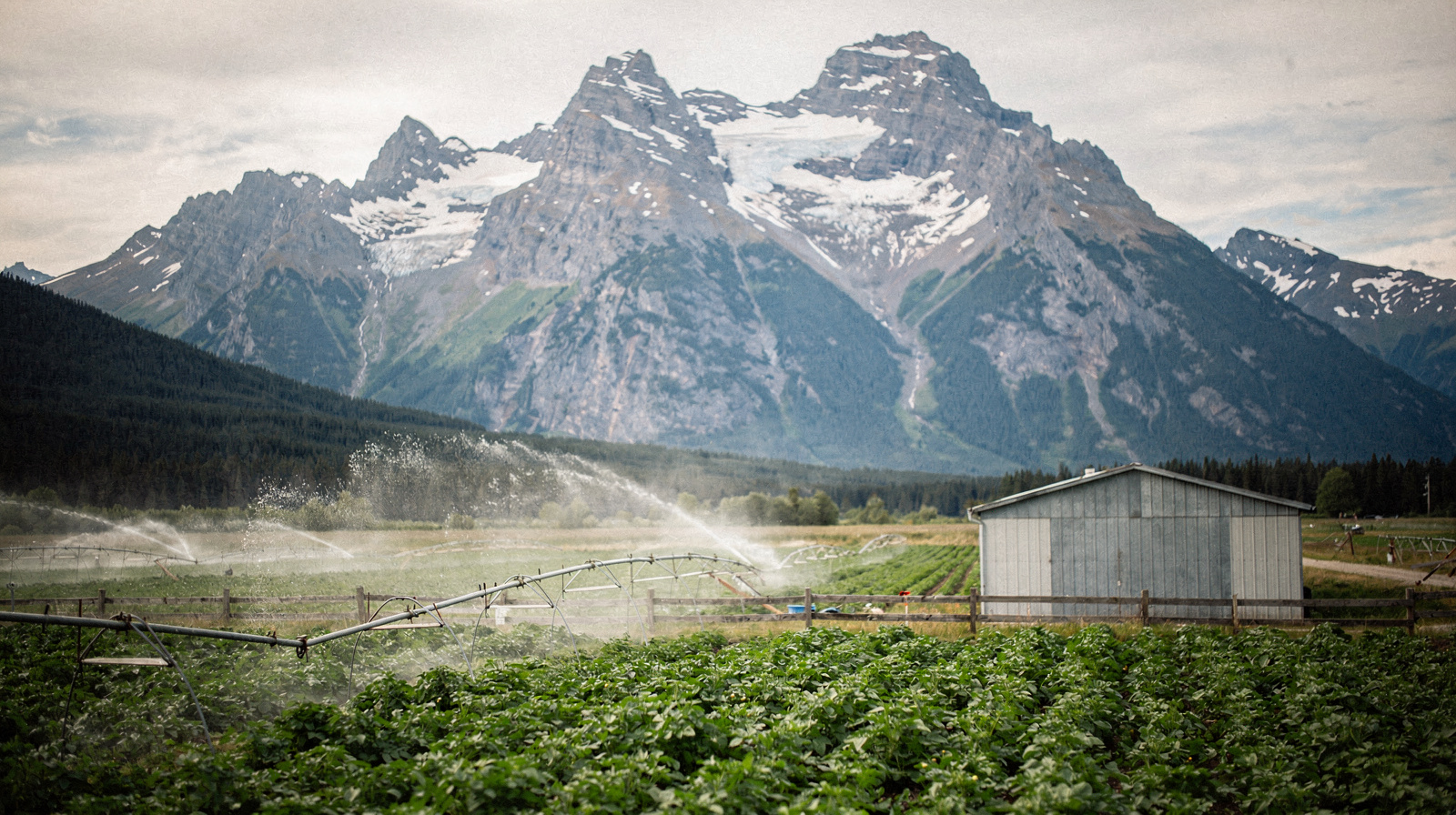 Pemberton: Gateway to Mount Currie and Joffre Lakes
