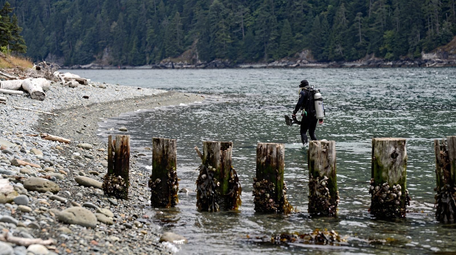 Porteau Cove: A Sea to Sky Highway Stop on Howe Sound