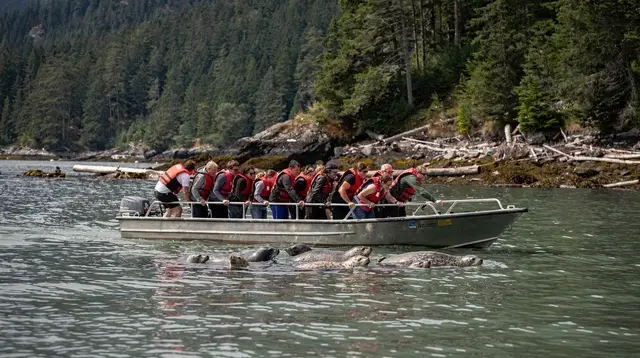 What Wildlife Can You See on a Howe Sound Boat Tour?
