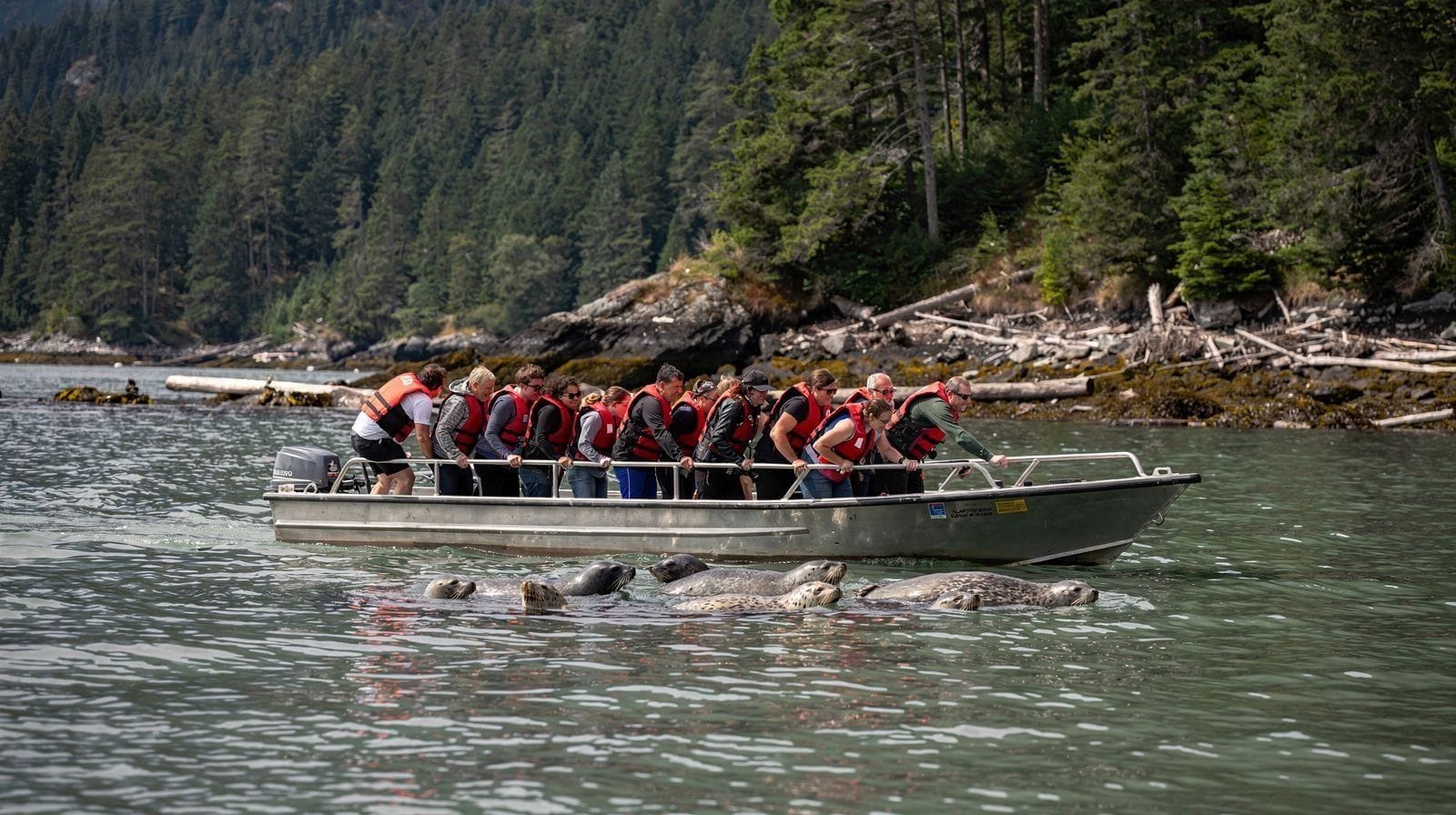 What Wildlife Can You See on a Howe Sound Boat Tour?