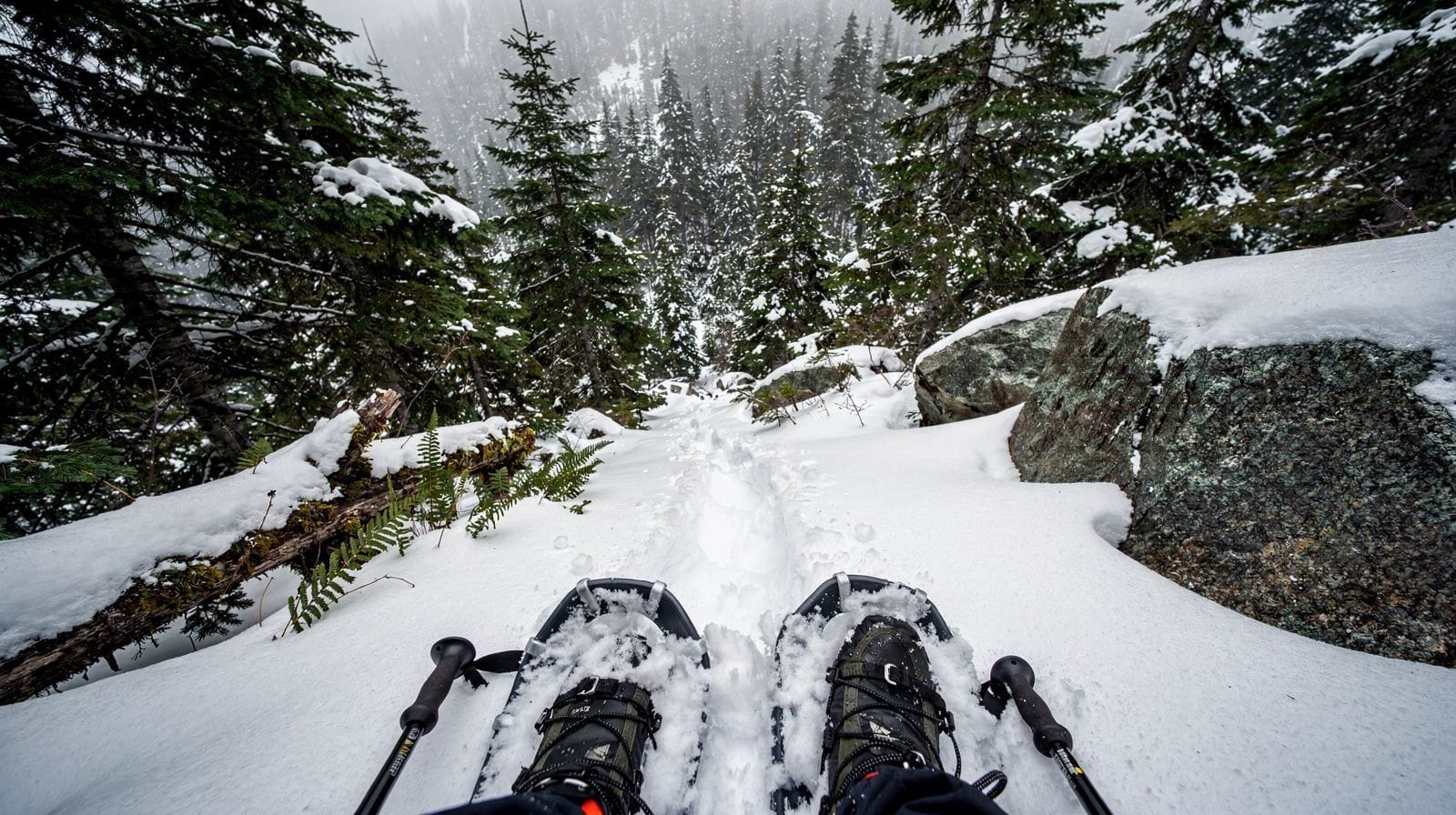 Snowshoeing at the Top of the Sea to Sky Gondola