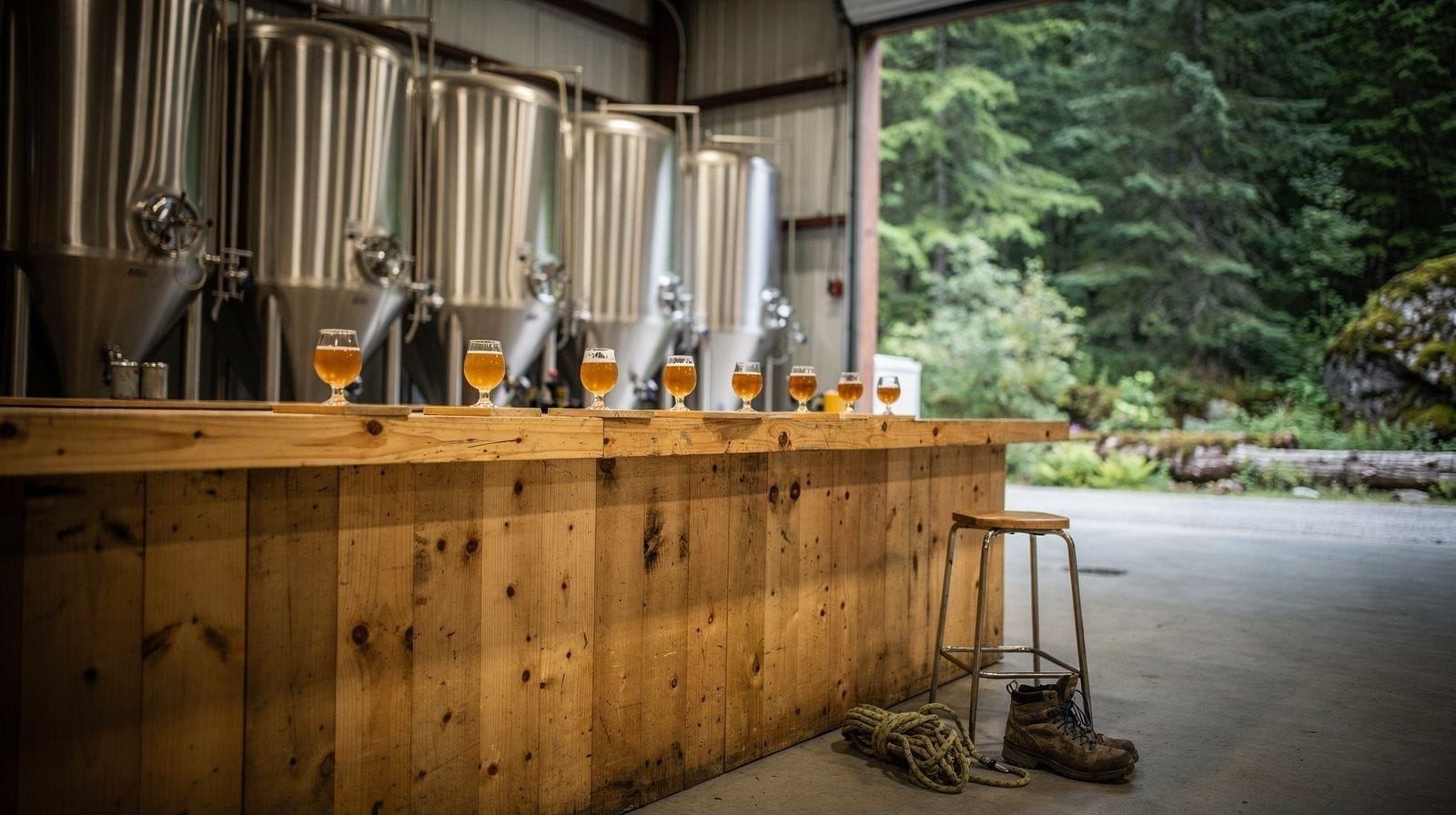Stawamus Chief Hike and Squamish Brewery Tasting: Does the Combo Work?
