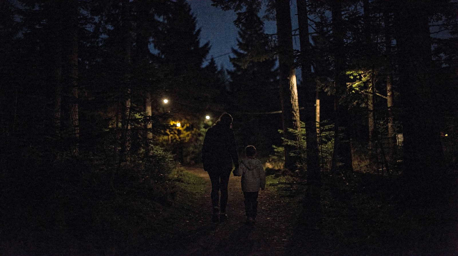 Vallea Lumina at Night: Is It Right for Kids?