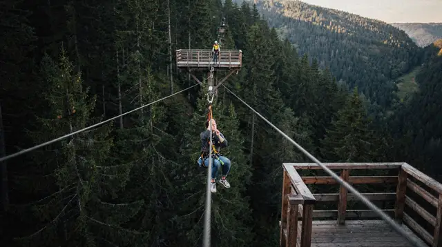 Whistler Evening Zipline Tour: What to Expect
