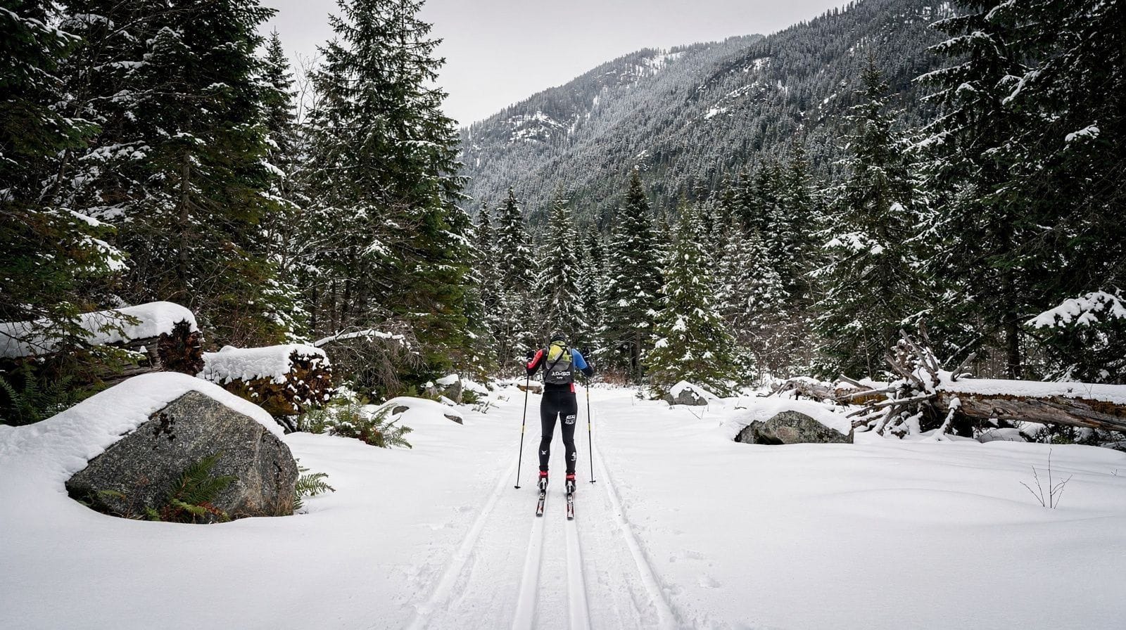 Whistler Olympic Park: What to Do Beyond Downhill Skiing