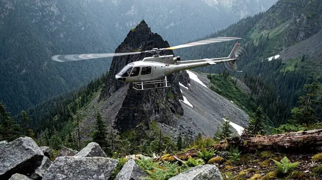 Whistler Scenic Helicopter Flight: No Landing, Explained
