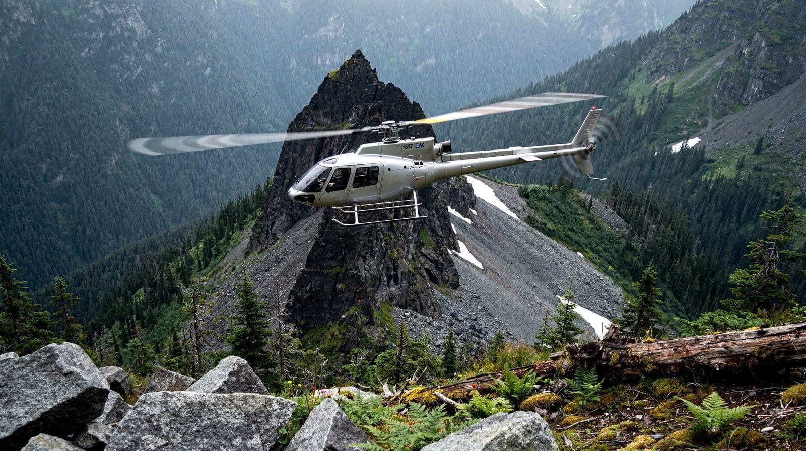 Whistler Scenic Helicopter Flight: No Landing, Explained