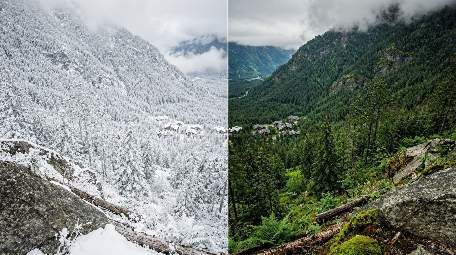 Whistler in Summer or Winter: Which Season Should You Choose?